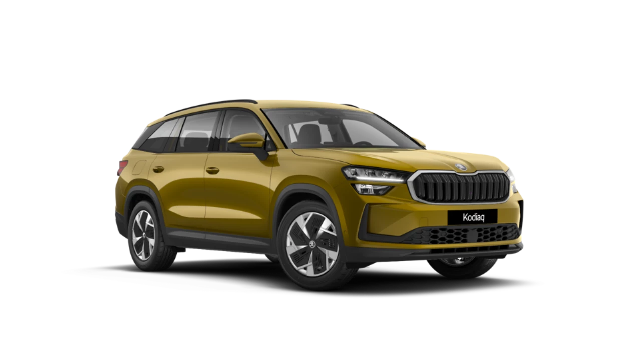 Nuovo Kodiaq