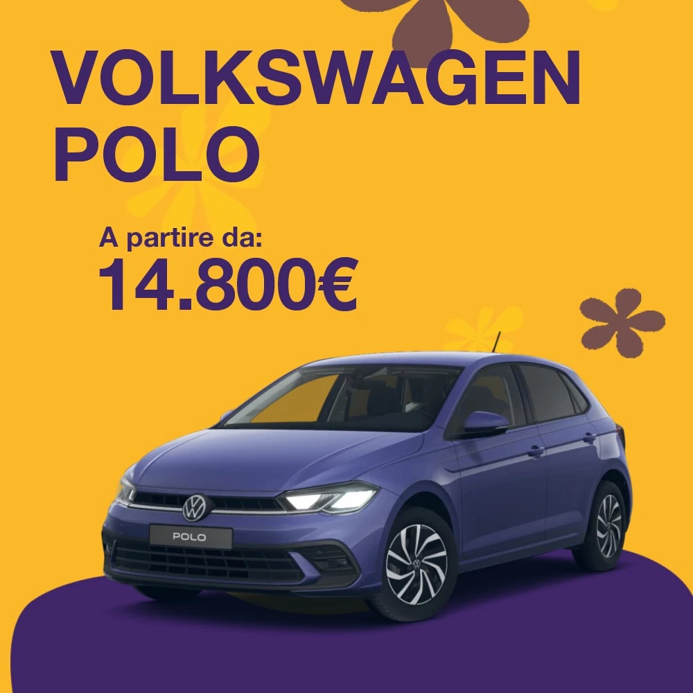 Anteprima Polo